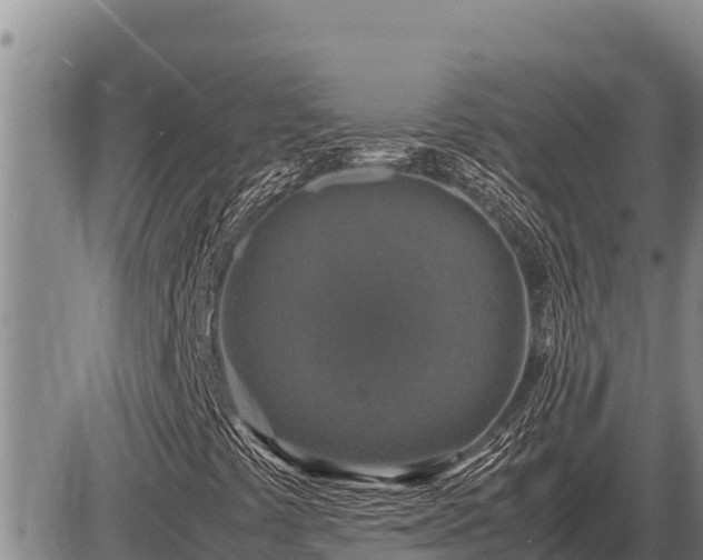 X0000087421441200704271725