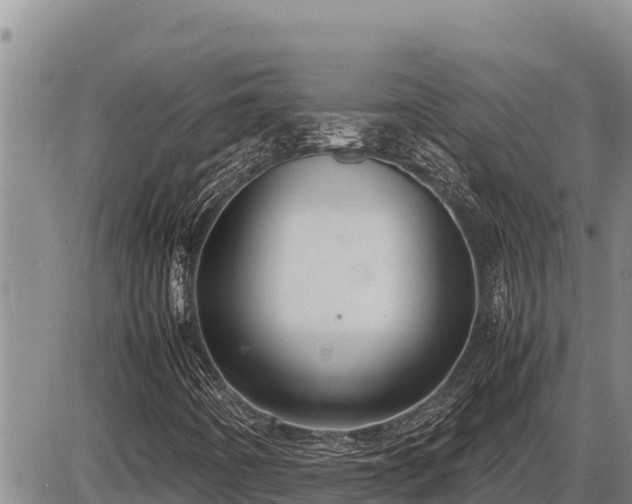 X0000087421442200704271725