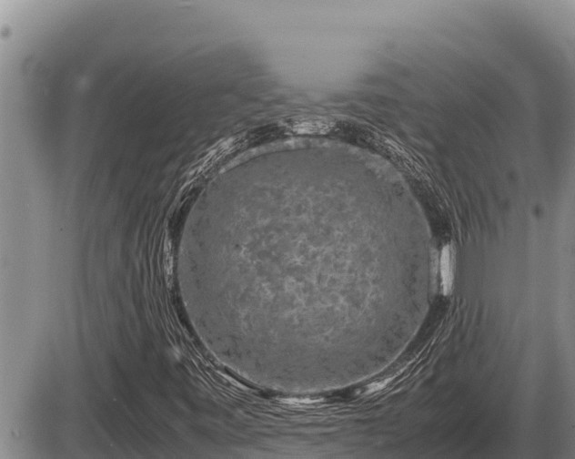 X0000087421443200704271725