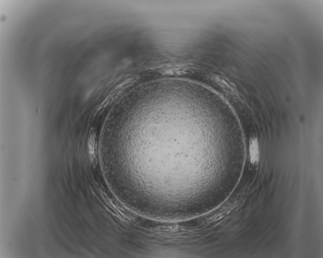 X0000087421444200704271725