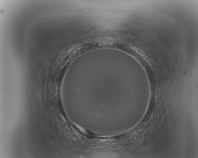 X0000087421445200704271725