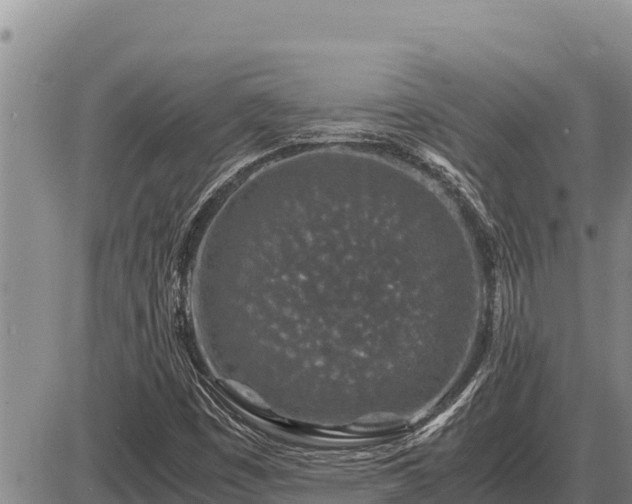 X0000087421449200704271725