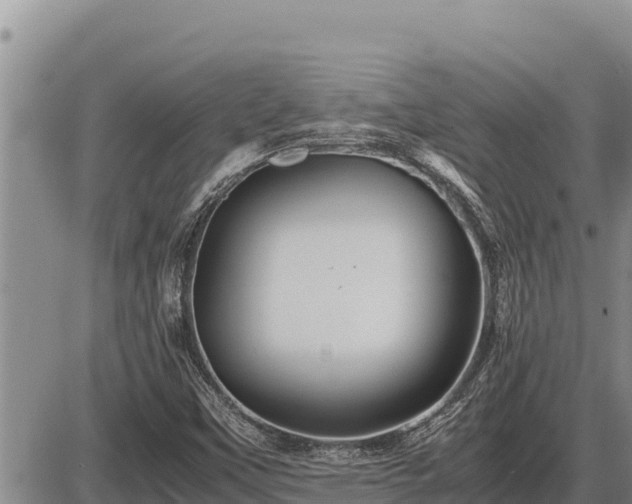 X0000087421451200704271725