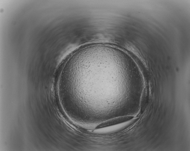 X0000087421452200704271725