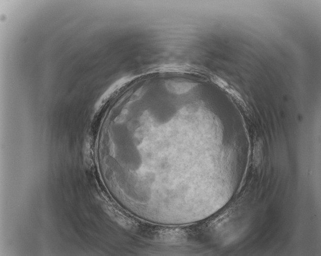 X0000087421454200704271725