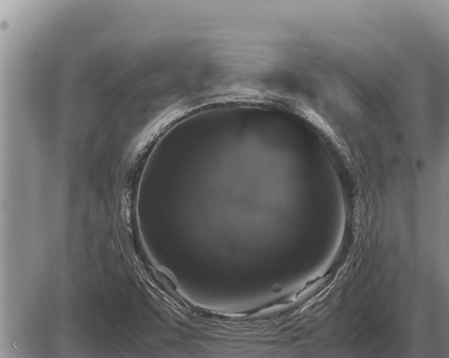 X0000087421455200704271725