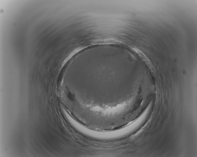 X0000087421457200704271725