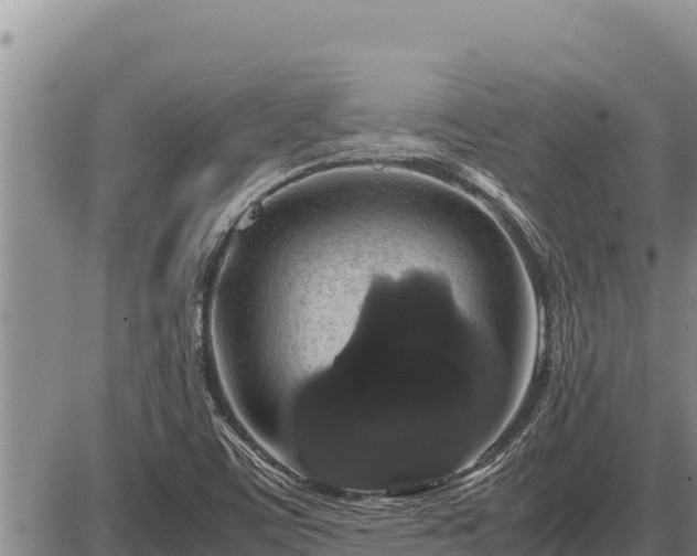 X0000087421459200704271725