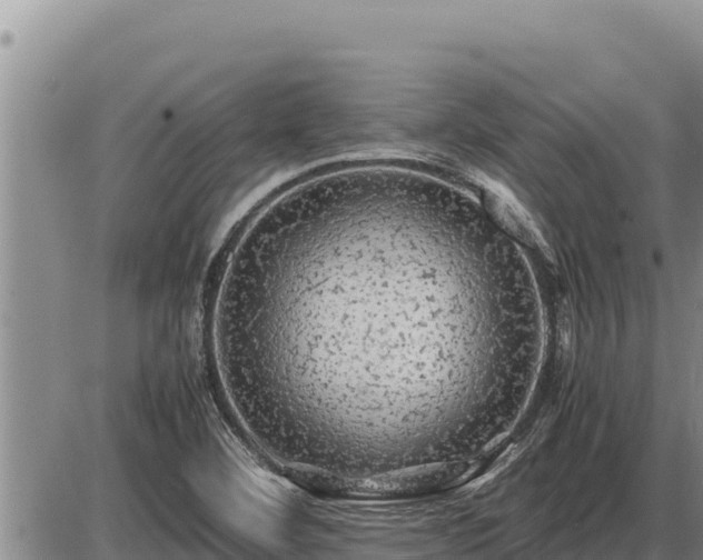 X0000087421460200704271725