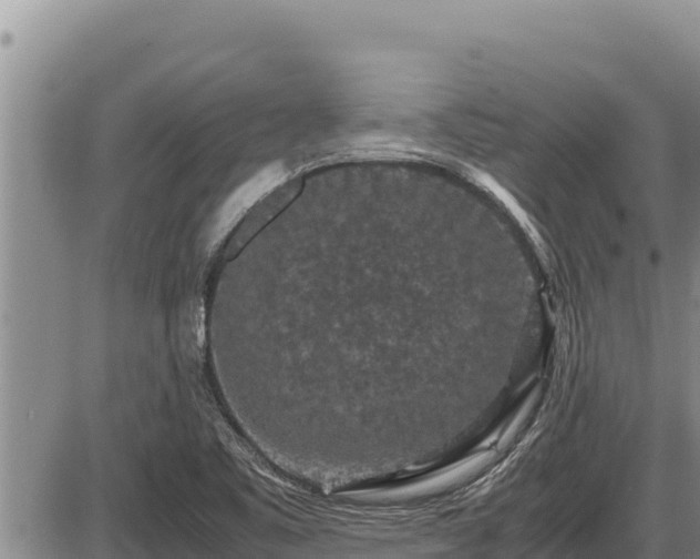 X0000087421461200704271725