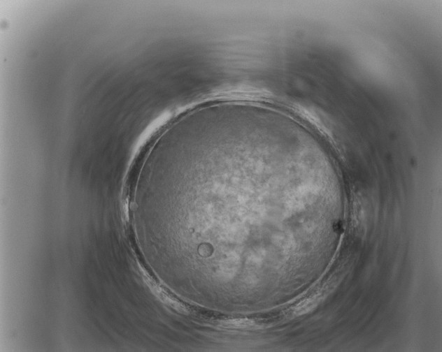 X0000087421462200704271725