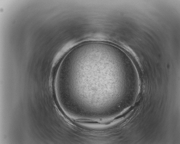 X0000087421464200704271725