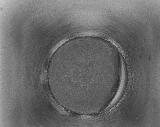 X0000087421465200704271725