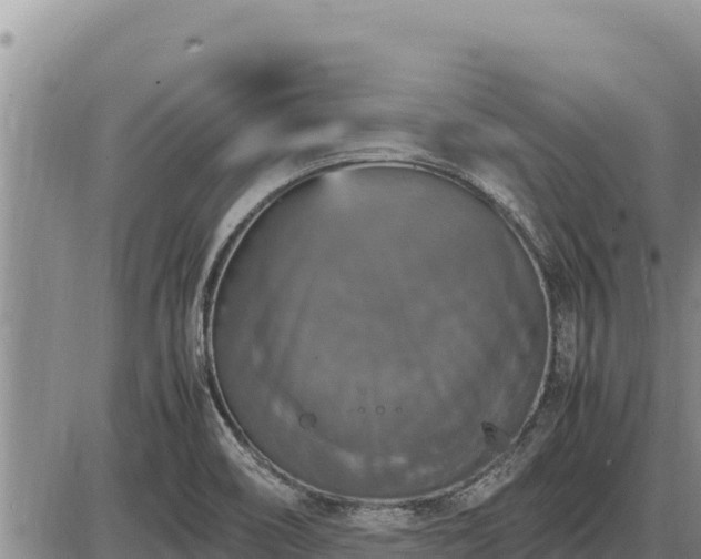 X0000087421466200704271725