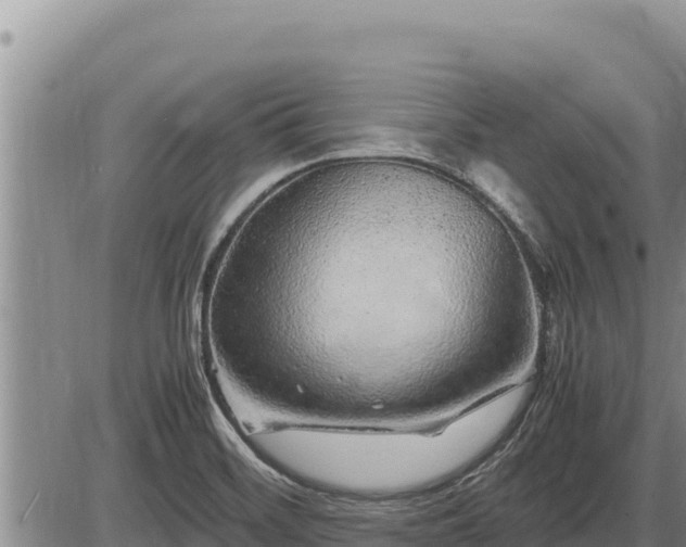 X0000087421468200704271725