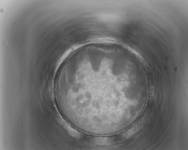 X0000087421470200704271725