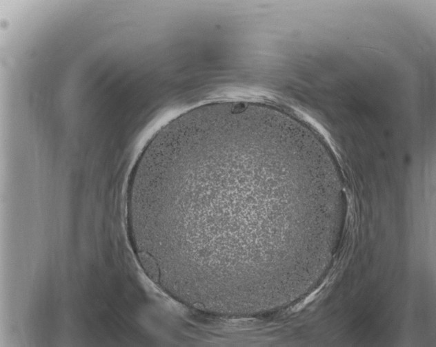 X0000087421471200704271725