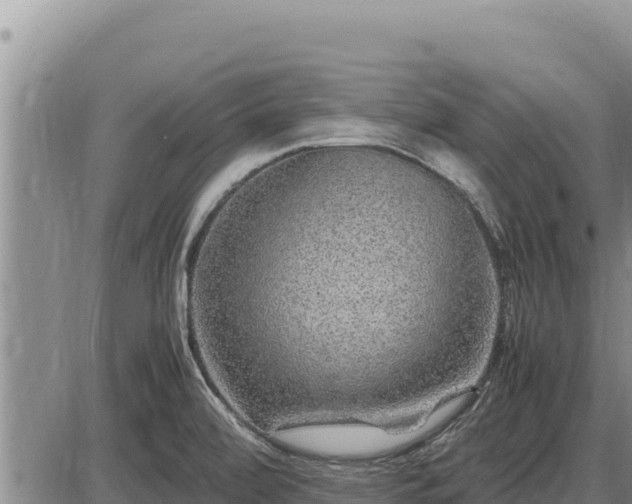 X0000087421472200704271725