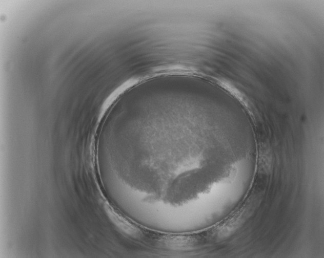 X0000087421474200704271725