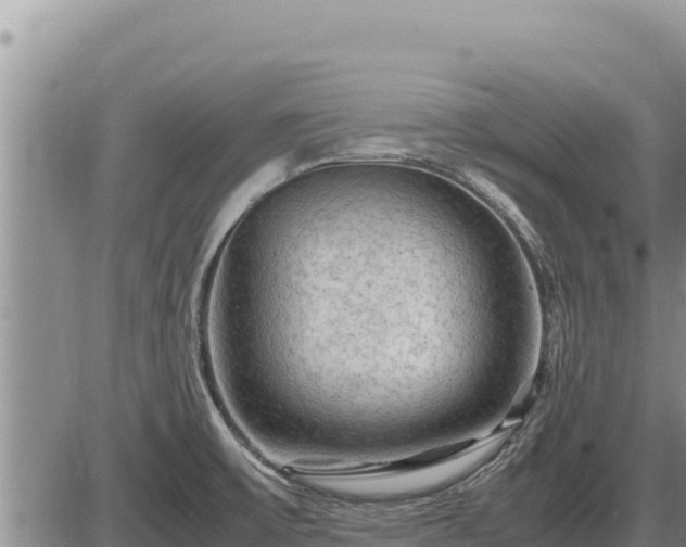 X0000087421475200704271725