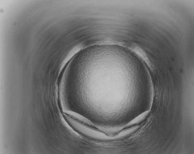 X0000087421476200704271725