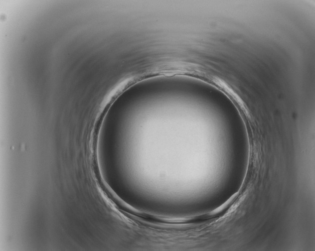 X0000087421477200704271725