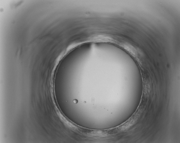 X0000087421478200704271725