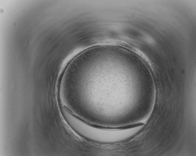 X0000087421480200704271725