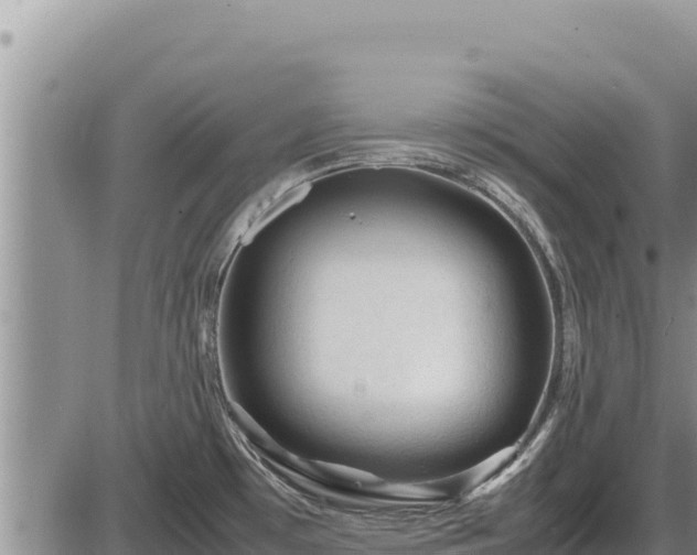 X0000087421481200704271725