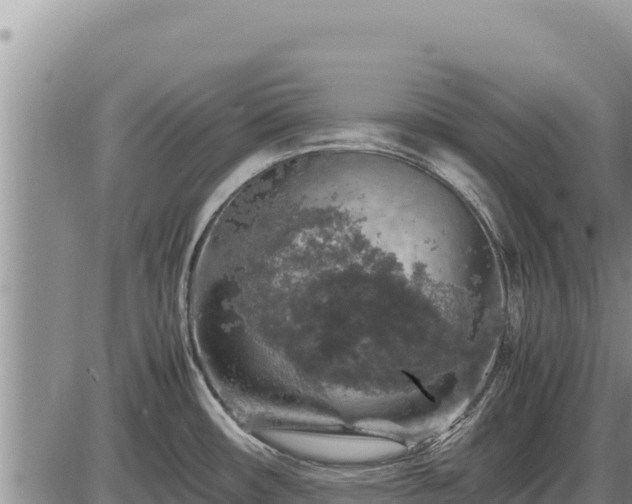 X0000087421482200704271725