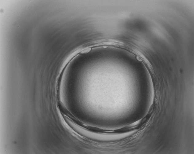 X0000087421483200704271725