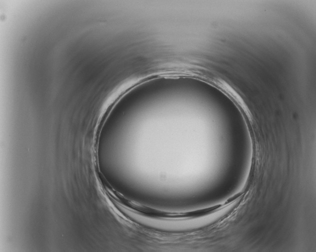 X0000087421485200704271725