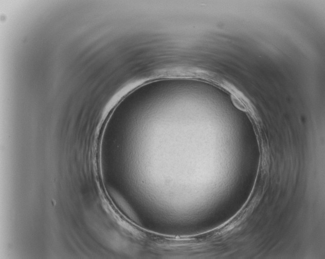 X0000087421486200704271724