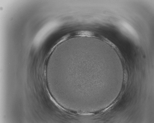 X0000087421487200704271724