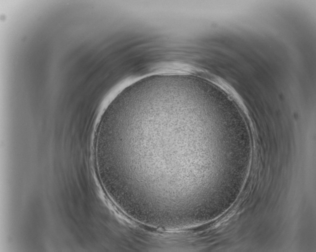 X0000087421488200704271724