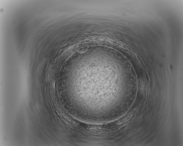 X0000087421489200704271724