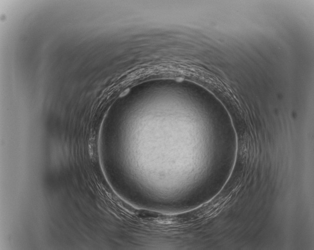 X0000087421490200704271724