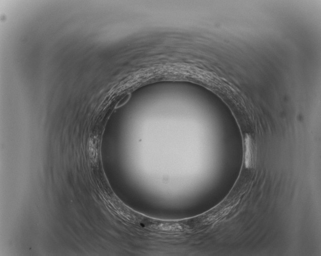 X0000087421491200704271724