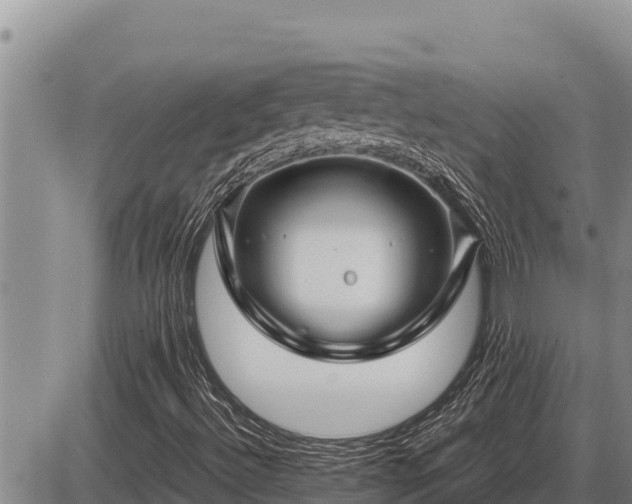 X0000087421492200704271724