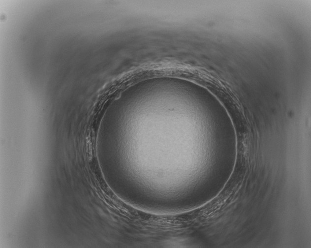 X0000087421493200704271724