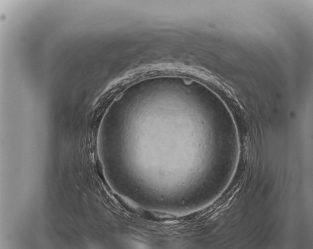 X0000087421494200704271724