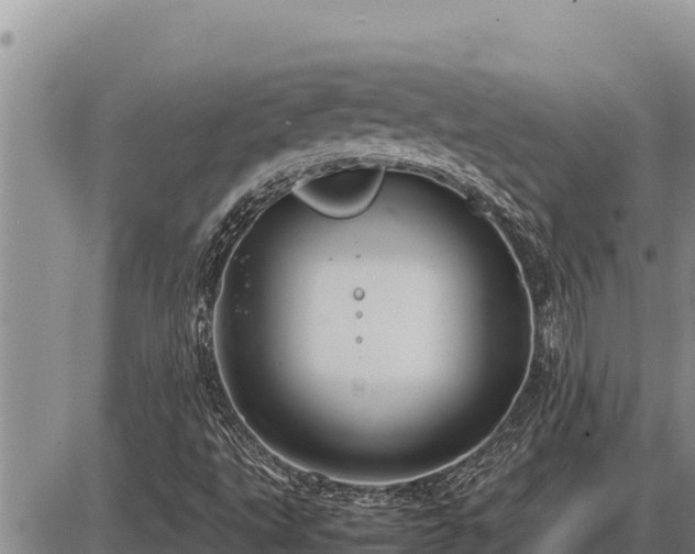 X0000087421495200704271724