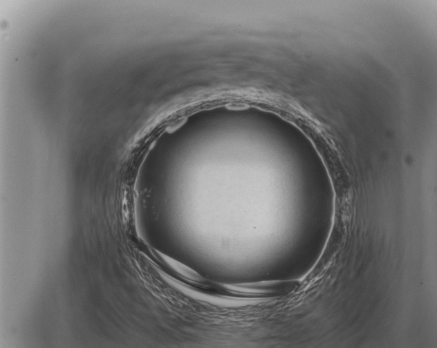 X0000087421496200704271724