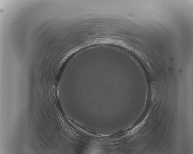 X0000087421497200704271724