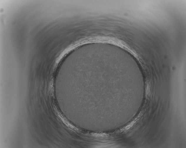 X0000087421498200704271724