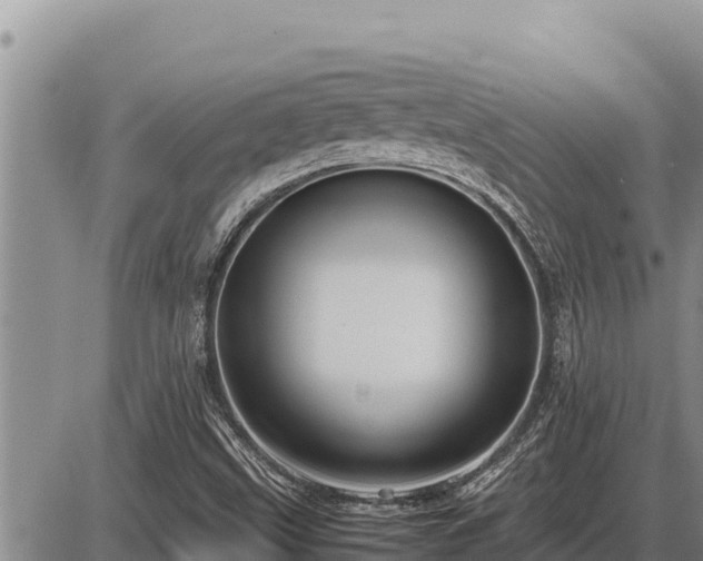 X0000087421499200704271724