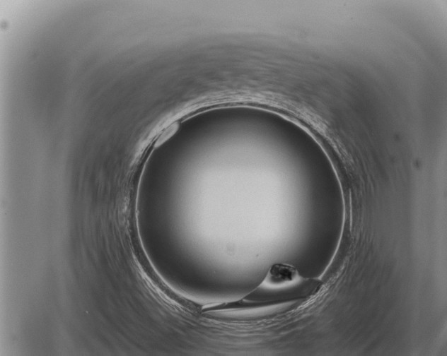 X0000087421500200704271724