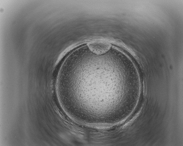 X0000087421501200704271724