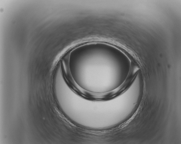 X0000087421502200704271724