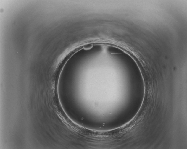 X0000087421503200704271724